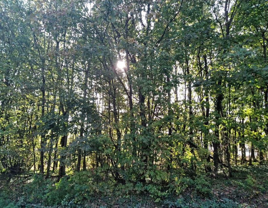 Réalisation menuiserie