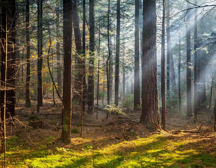 Réalisation menuiserie